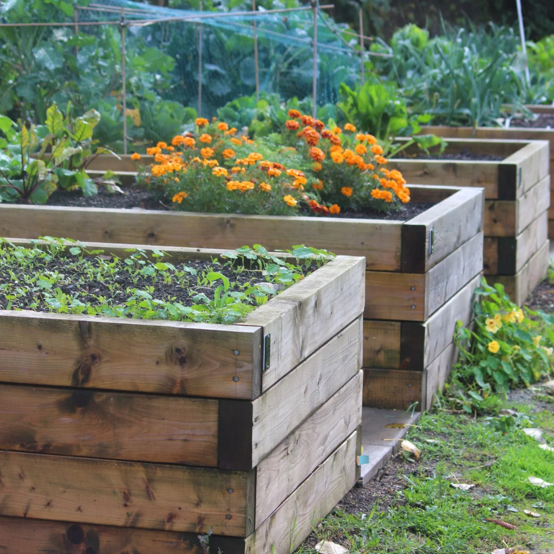 The Benefits of Raised Garden Beds
