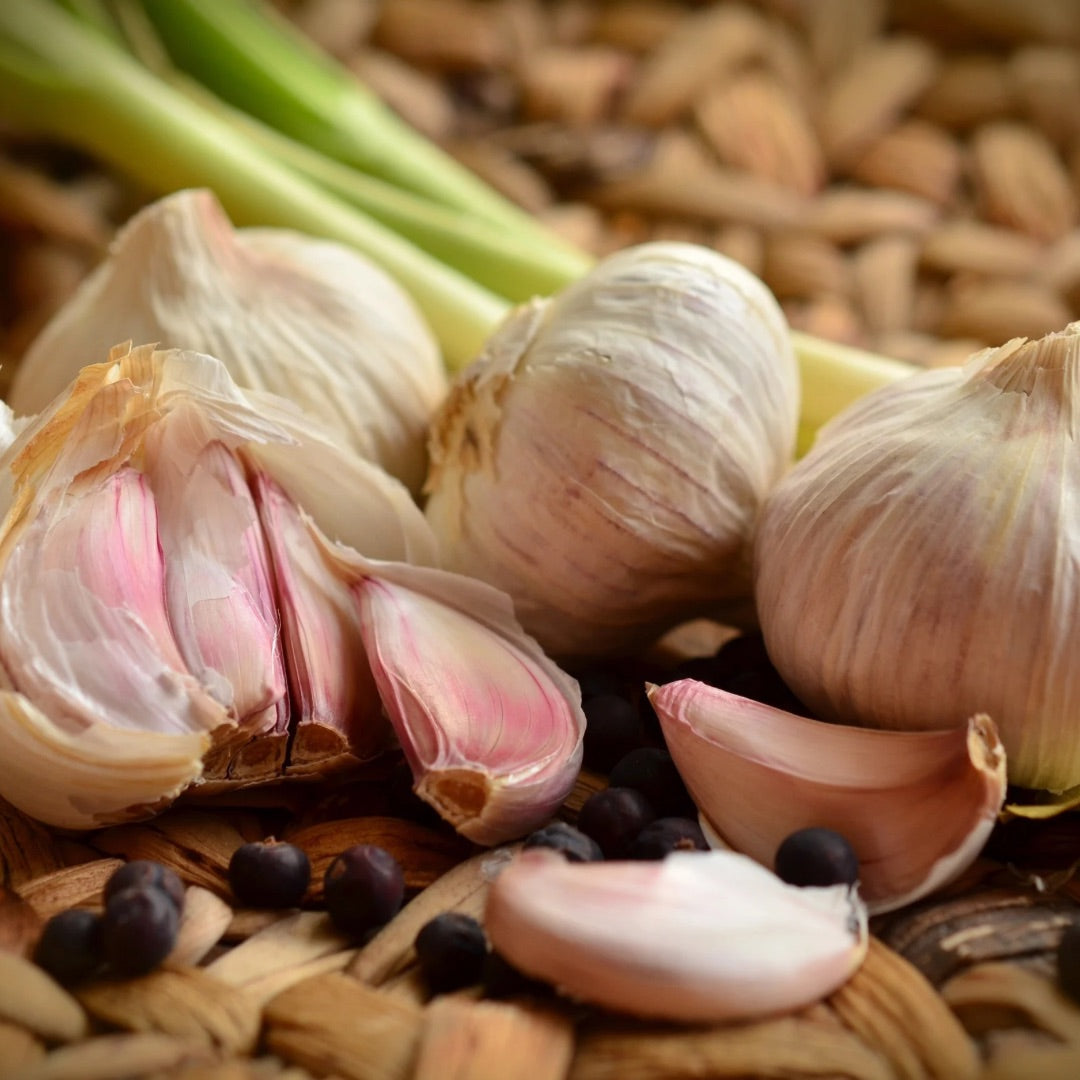 The Ultimate Guide to Harvesting Garlic