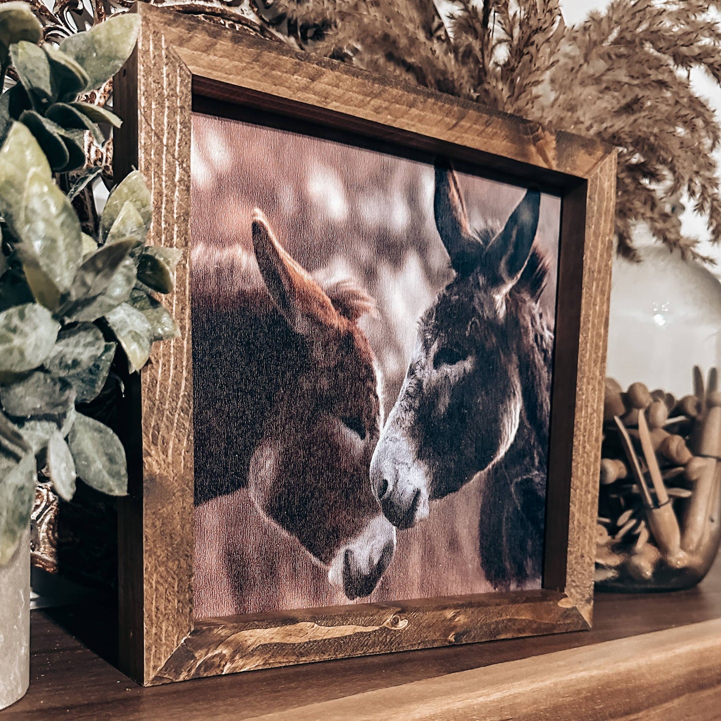 Donkey Friends