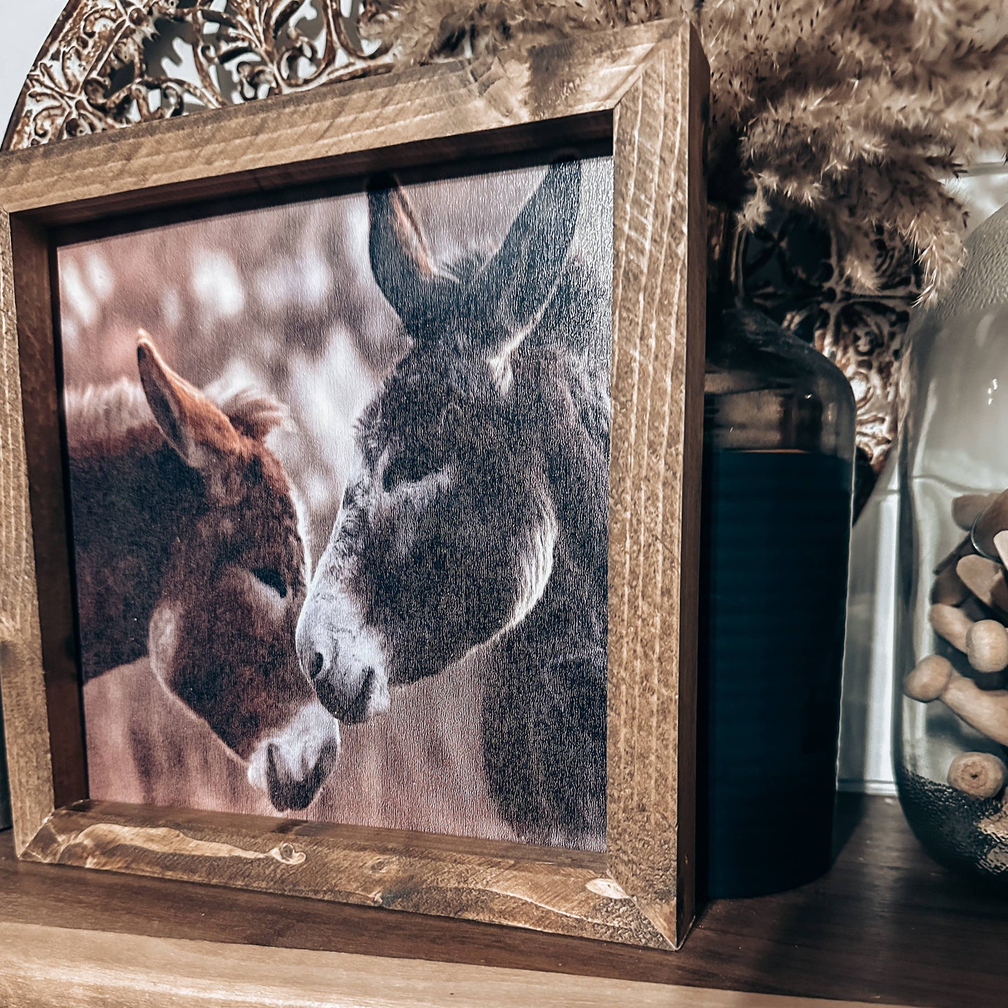 Donkey Friends
