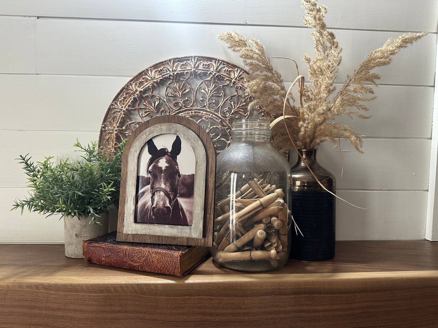 Arched frame Black and White horse photo