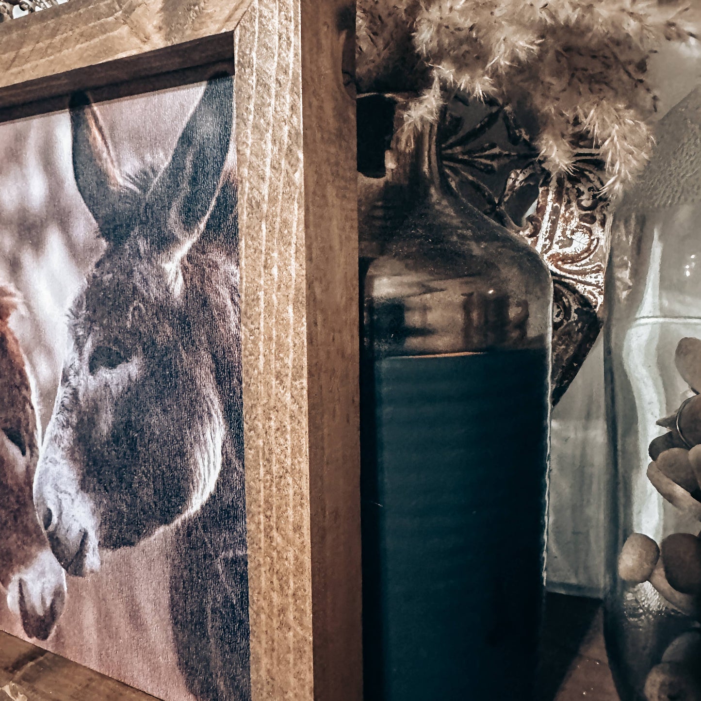Donkey Friends