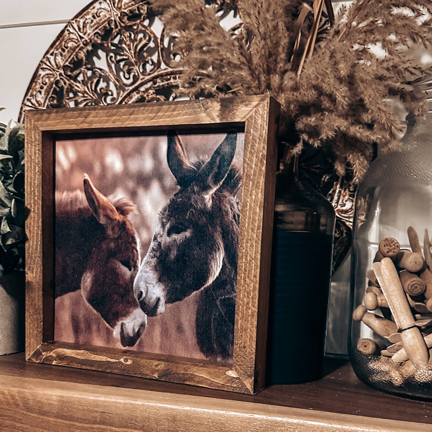 Donkey Friends