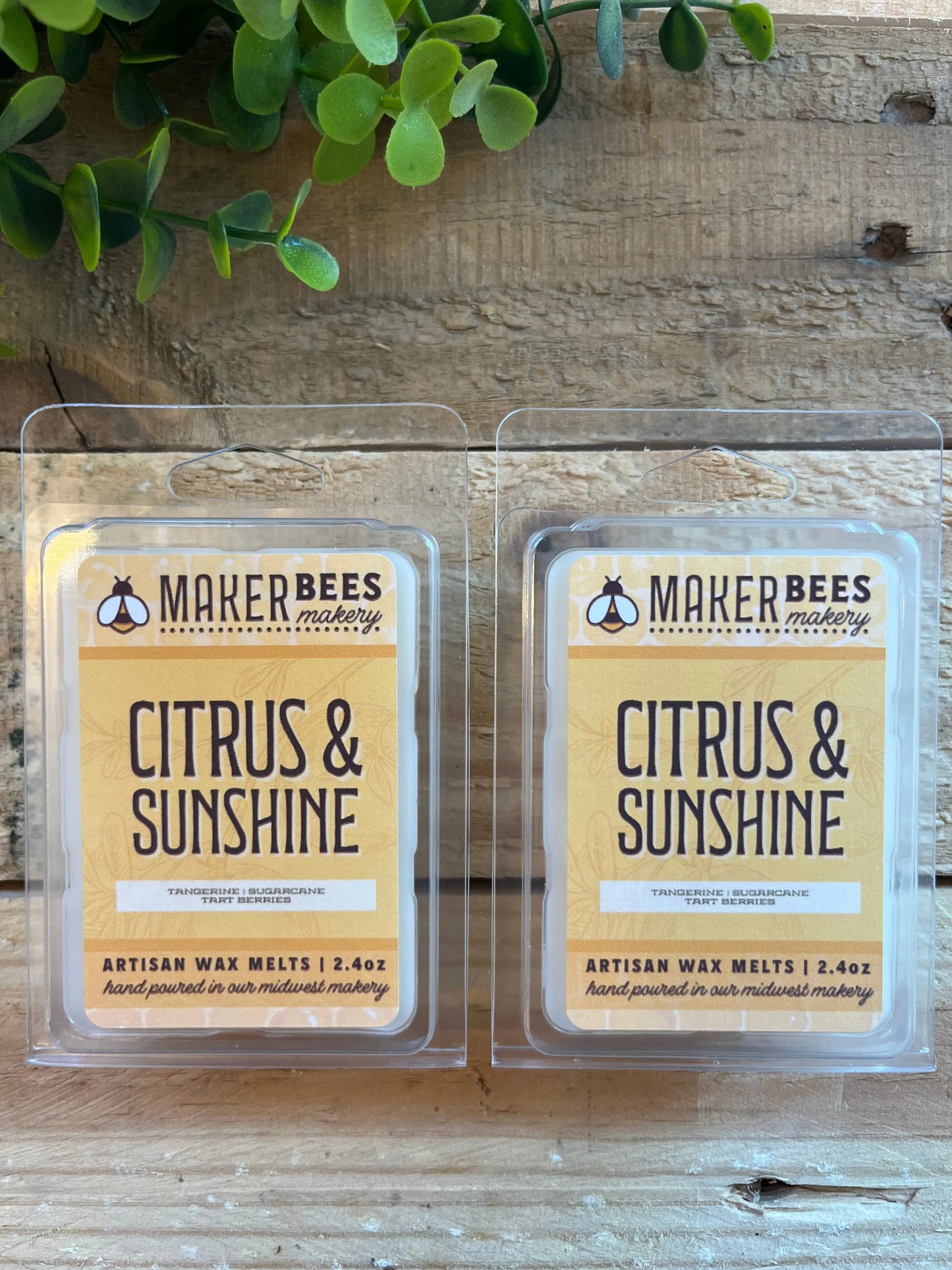 Citrus & Sunshine Artisan Wax Melts