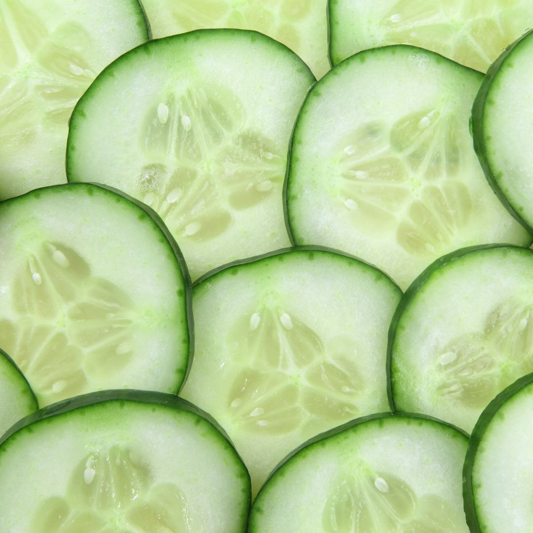 Straight Eight Cucumber Plant Starter