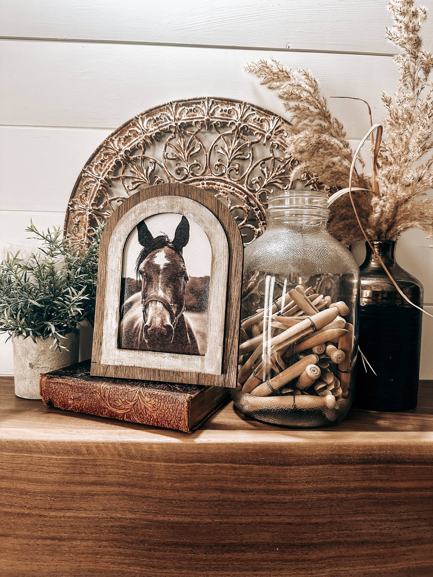 Arched frame Black and White horse photo