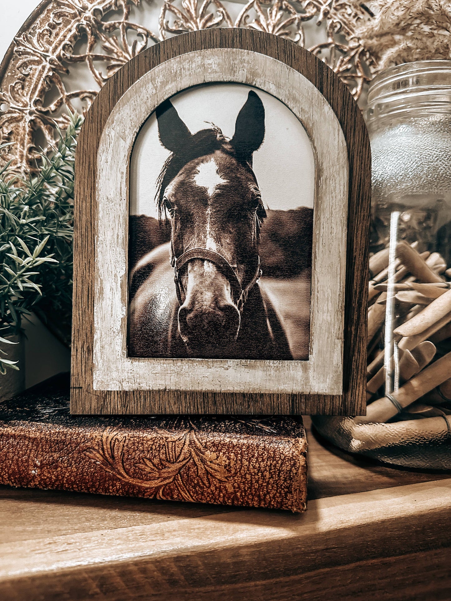 Arched frame Black and White horse photo
