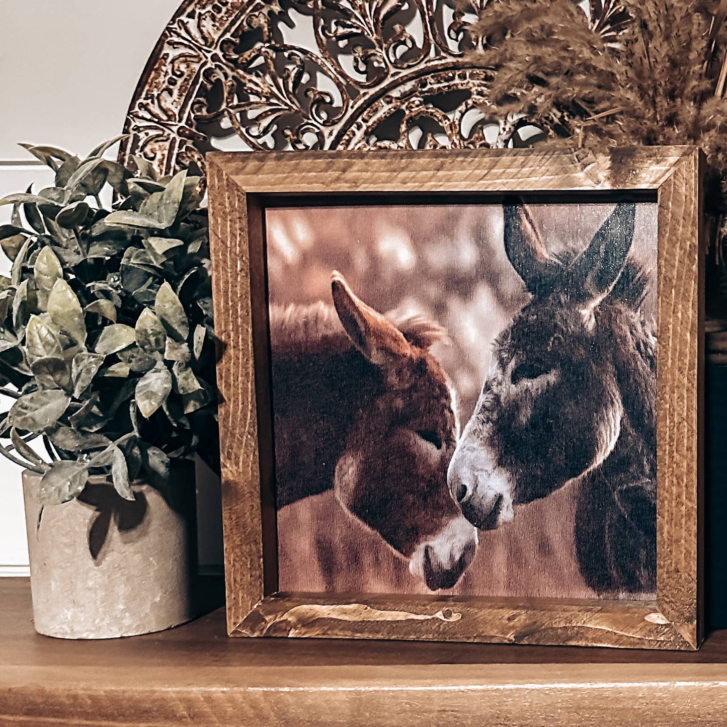 Donkey Friends