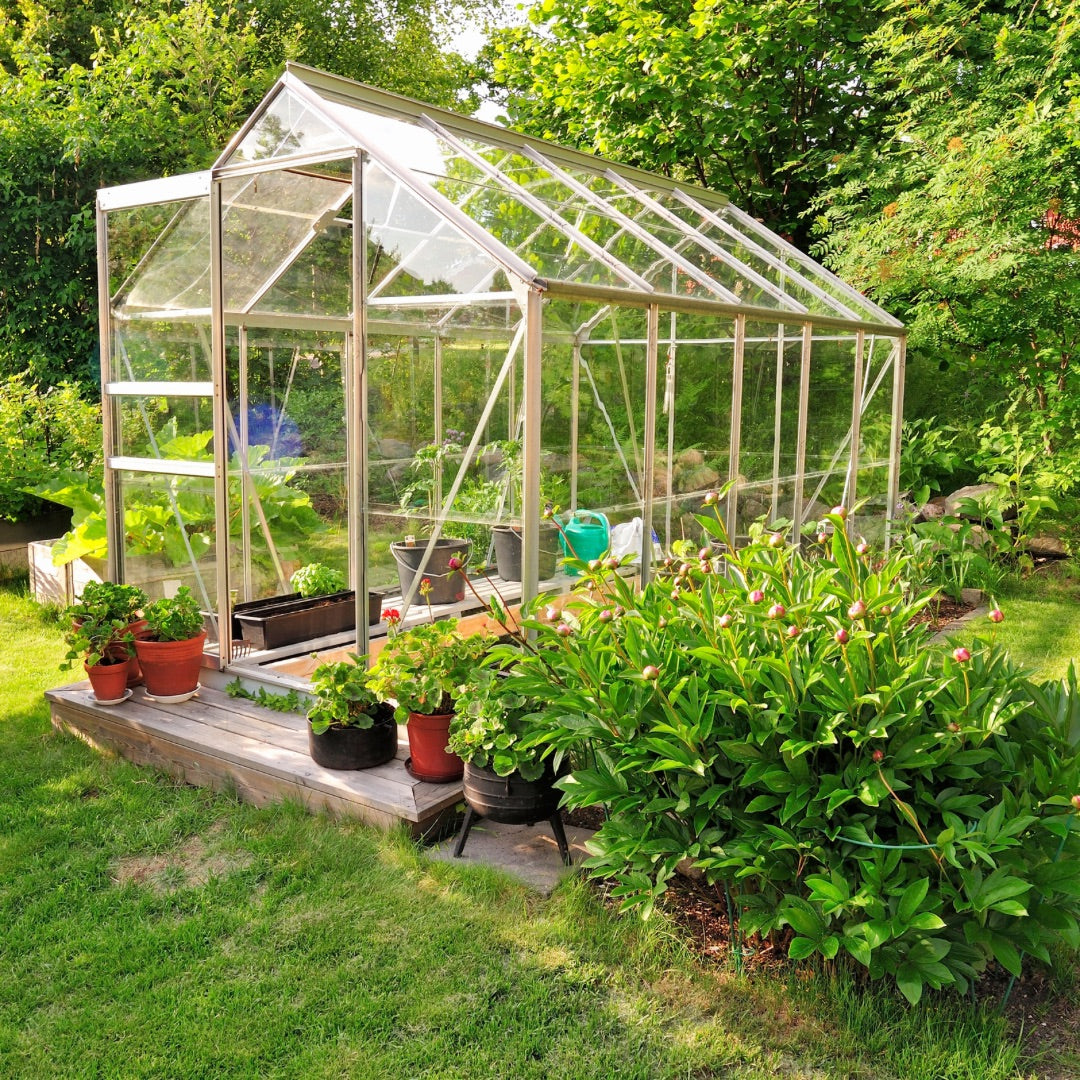 Everything You Need to Know About a Homestead Greenhouse