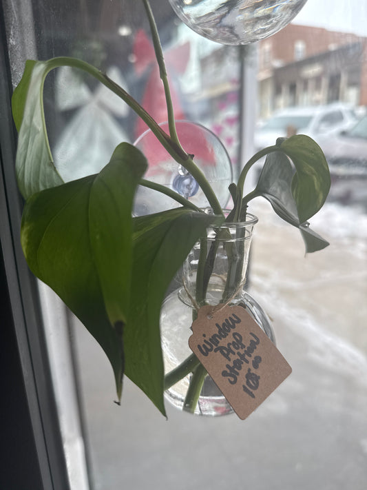 Window Prop Station