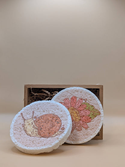 Pop-Up Eco Sponges