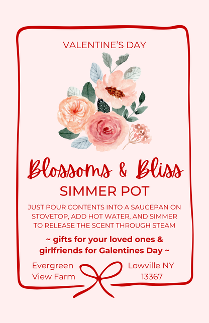 Simmer Pot Kit Valentine's Day Floral Botanic Spring Summer