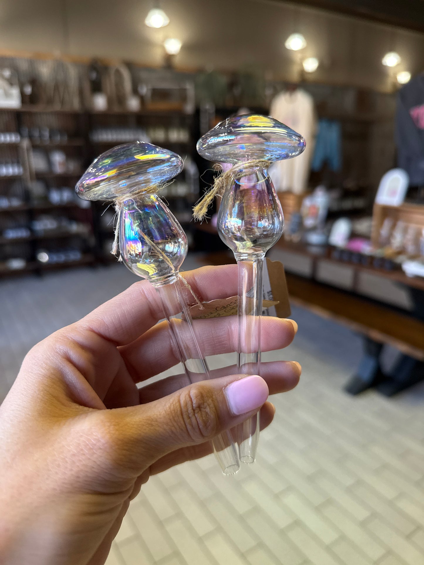 Small Mushroom Blown Glass Water Globe | Sam's Plants