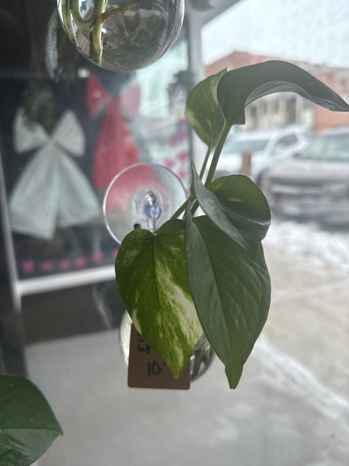 Window Prop Station