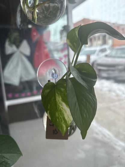 Window Prop Station