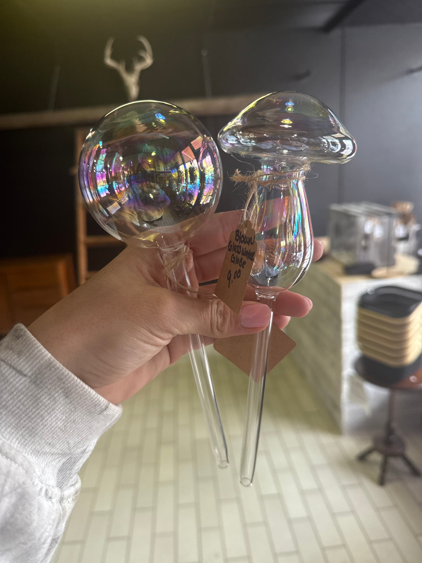 Blown Glass Water Globe | Sam's Plants