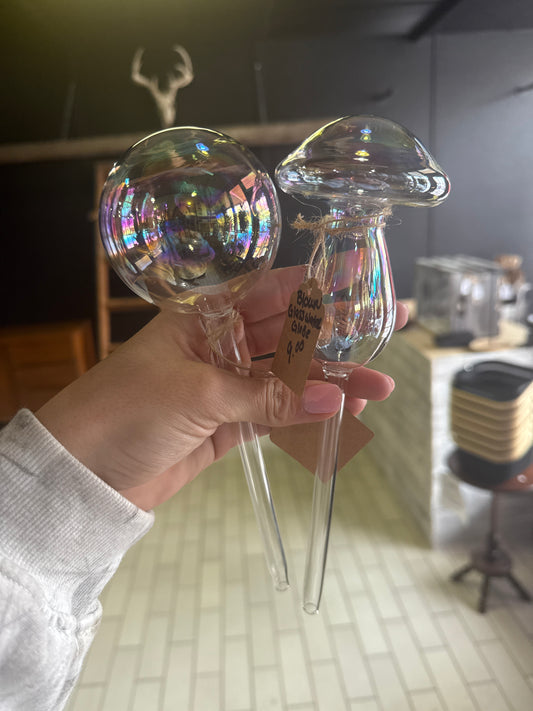 Blown Glass Water Globe | Sam's Plants