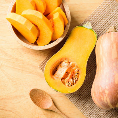 Butternut Squash Plant Starter