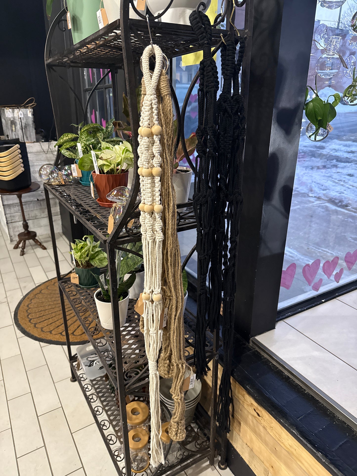 Macramé Hanger | Sam's Plants