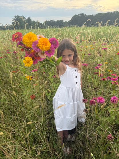 Zinnia Flower Seeds | Easy-Grow Cut Flowers | The Currie Roots