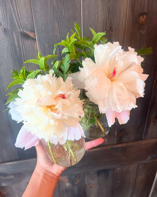 Flower Arrangements with Vase