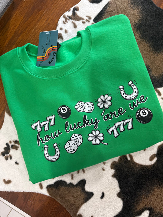 How Lucky Are We Sweatshirt | Savvy Jo