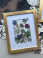 Framed Dried Flower Art