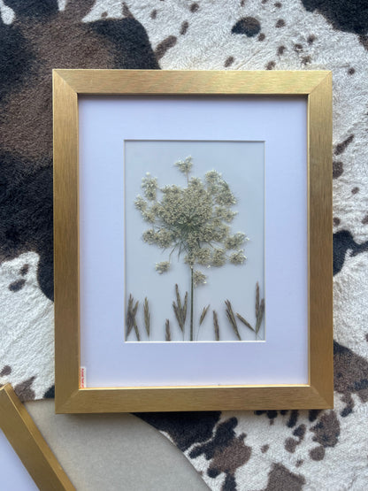 Framed Dried Flower Art