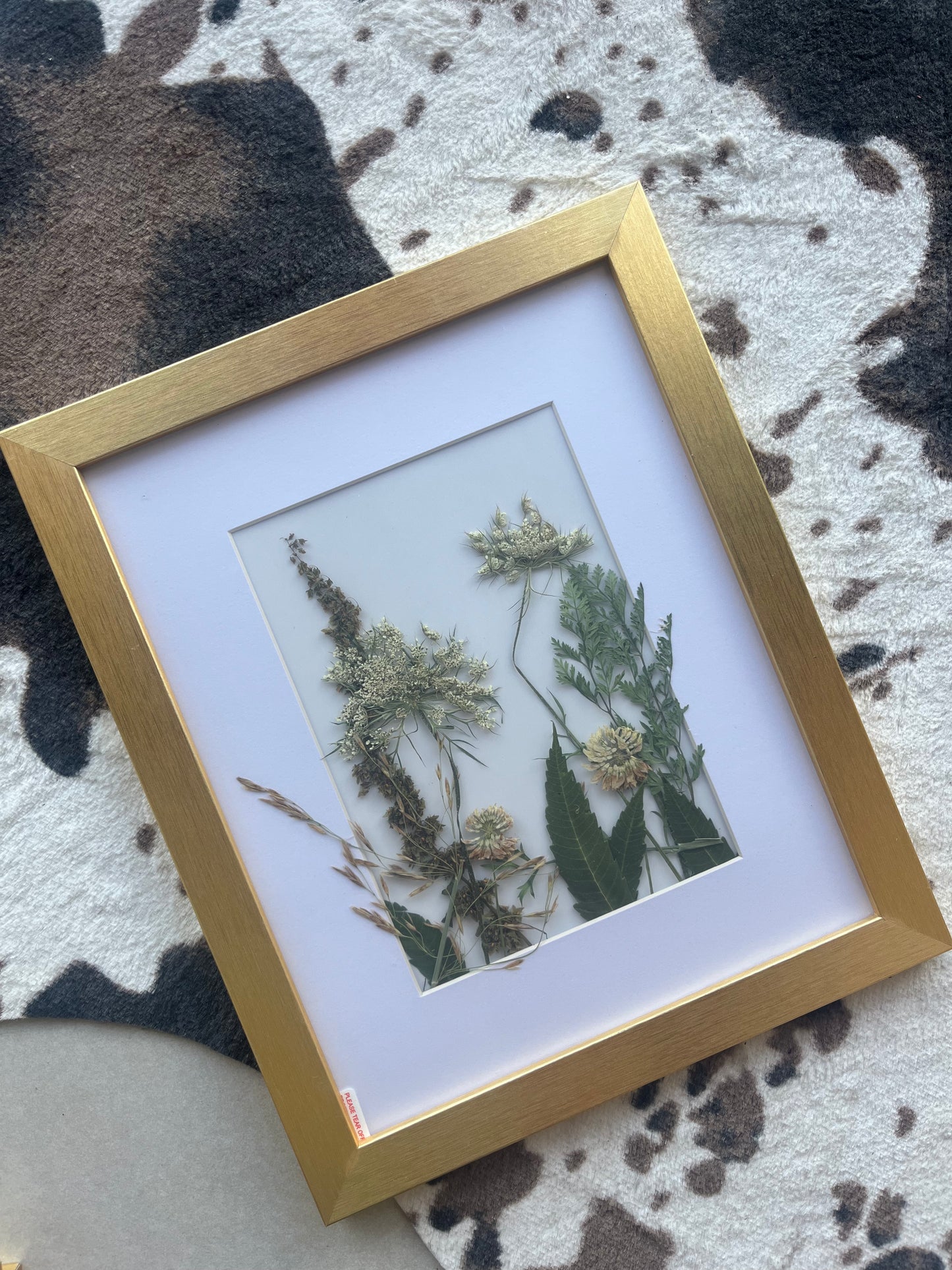 Framed Dried Flower Art