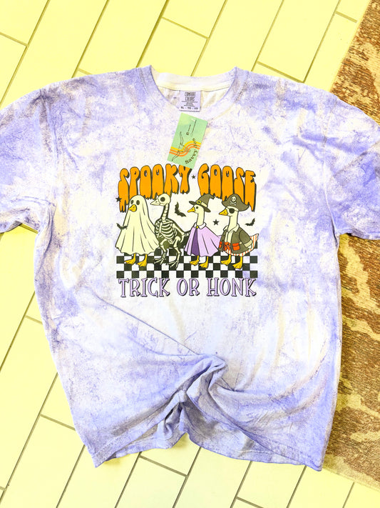 Spooky Goose Trick or Honk Tshirt | Savvy Jo's