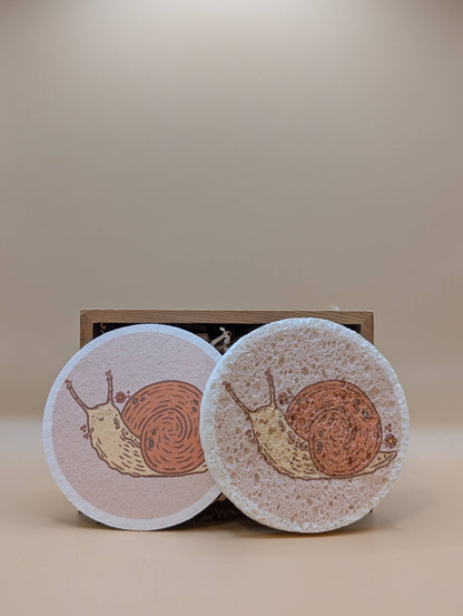 Pop-Up Eco Sponges